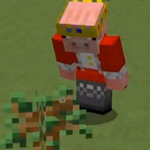 Technoblade crouching to look at an oak sapling